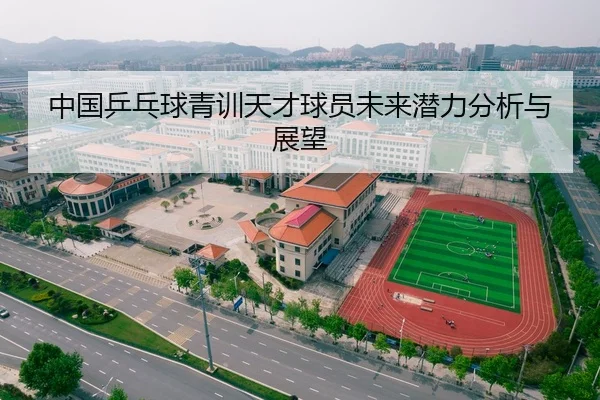 中国乒乓球青训天才球员未来潜力分析与展望